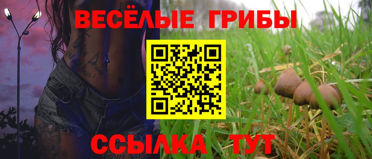 Галлюциногенные грибы GOLDEN TEACHER Ликино-Дулёво